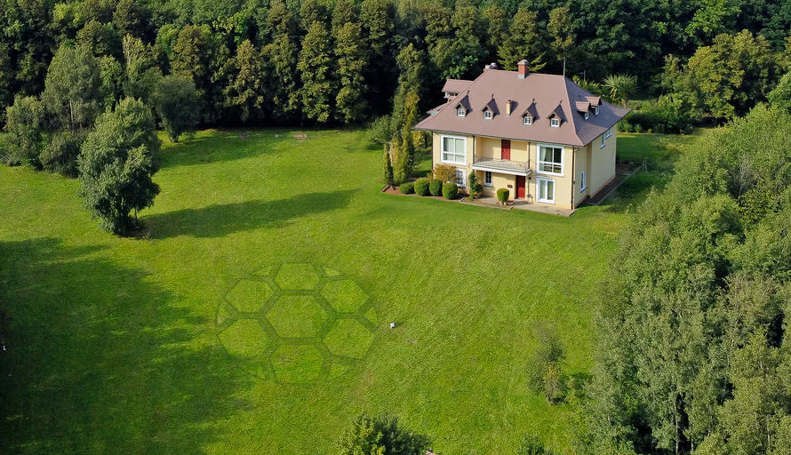 Förvandla gräsmattan till ett konstverk - Skapa unika mönster direkt i appen